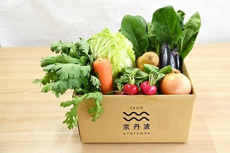 【京丹波野菜セット】京丹波 旬菜セット スモール 6～8品目 【野菜詰め合わせ　京野菜 】 [010KK013]