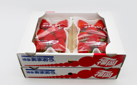 博多あまおう4パック（春） 250g～270g×4パック 合計約1000g～1080g あまおう いちご 苺 イチゴ フルーツ 果物 くだもの【2027年2月上旬-4月下旬発送予定】