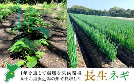 AD01-001 長生ねぎ（1kg）