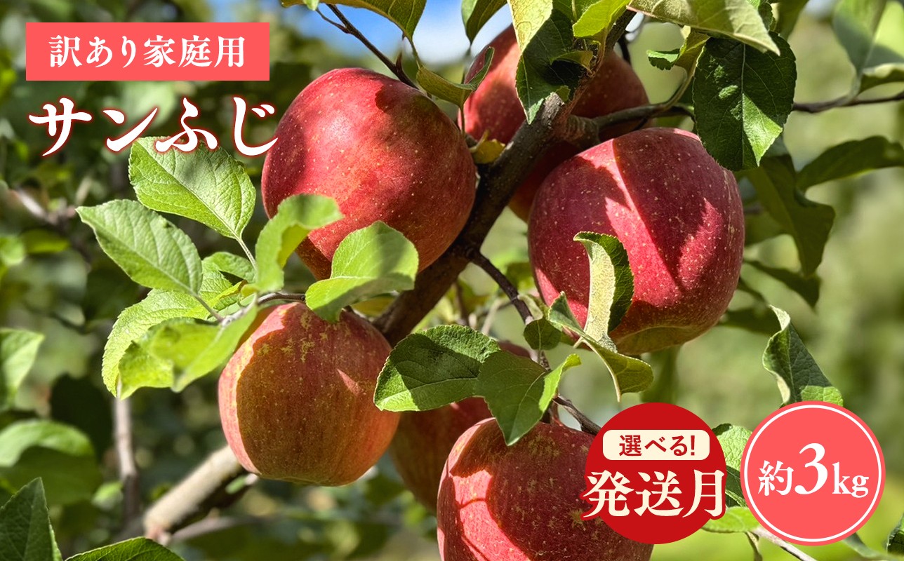 
                  ≪令和8年産先行受付 選べる配送月≫ 家庭用サンふじ約3kg【青森県平川市産・青森りんご】
                