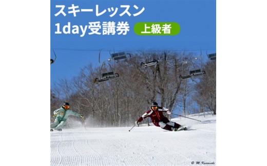 
[№5762-0332]スキーレッスン1day受講券～上級者～
