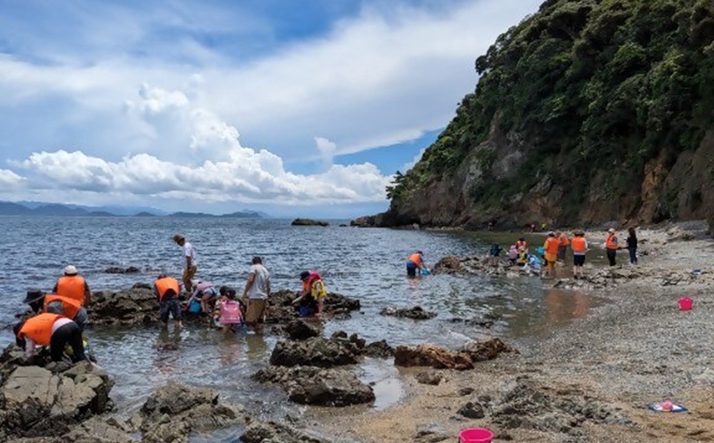 海洋体験施設うみんぐ大島 磯観察1名様分【(株)むなかた大島】_AS2026-00 体験 チケット 福岡県宗像市 宗像市 福岡 宗像