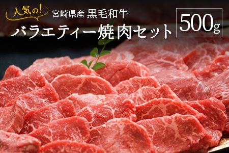 人気の宮崎県産黒毛和牛バラエティー焼肉セット 500g【B492】