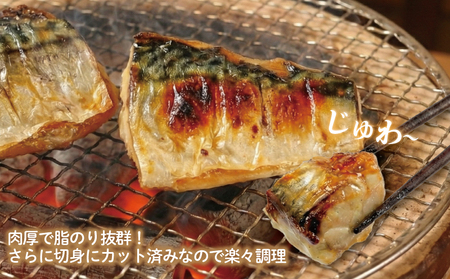 訳あり 霜降り塩サバ 約1kg 【 サバ 】