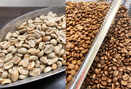 【カモガワ珈琲の定期便】焙煎したての珈琲豆 170g×３種×３カ月《粉・隔月発送》　[0036-0001]