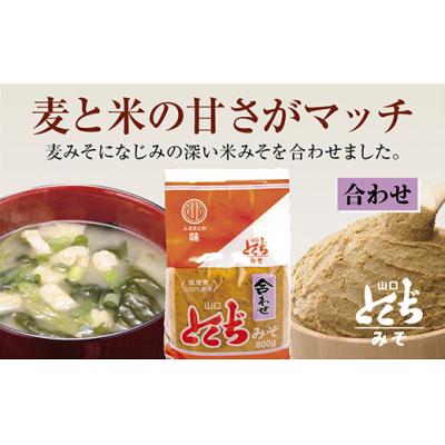 ふるさと納税 山口市 山口とくぢみそ　合わせみそ(1ケース) D502