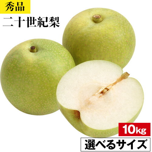 【ふるさと納税】＜2025年先行予約＞【秀品】選べる二十世紀梨 10kg L 2L 3L 4L さんチョク《9月上旬-9月中旬頃出荷》