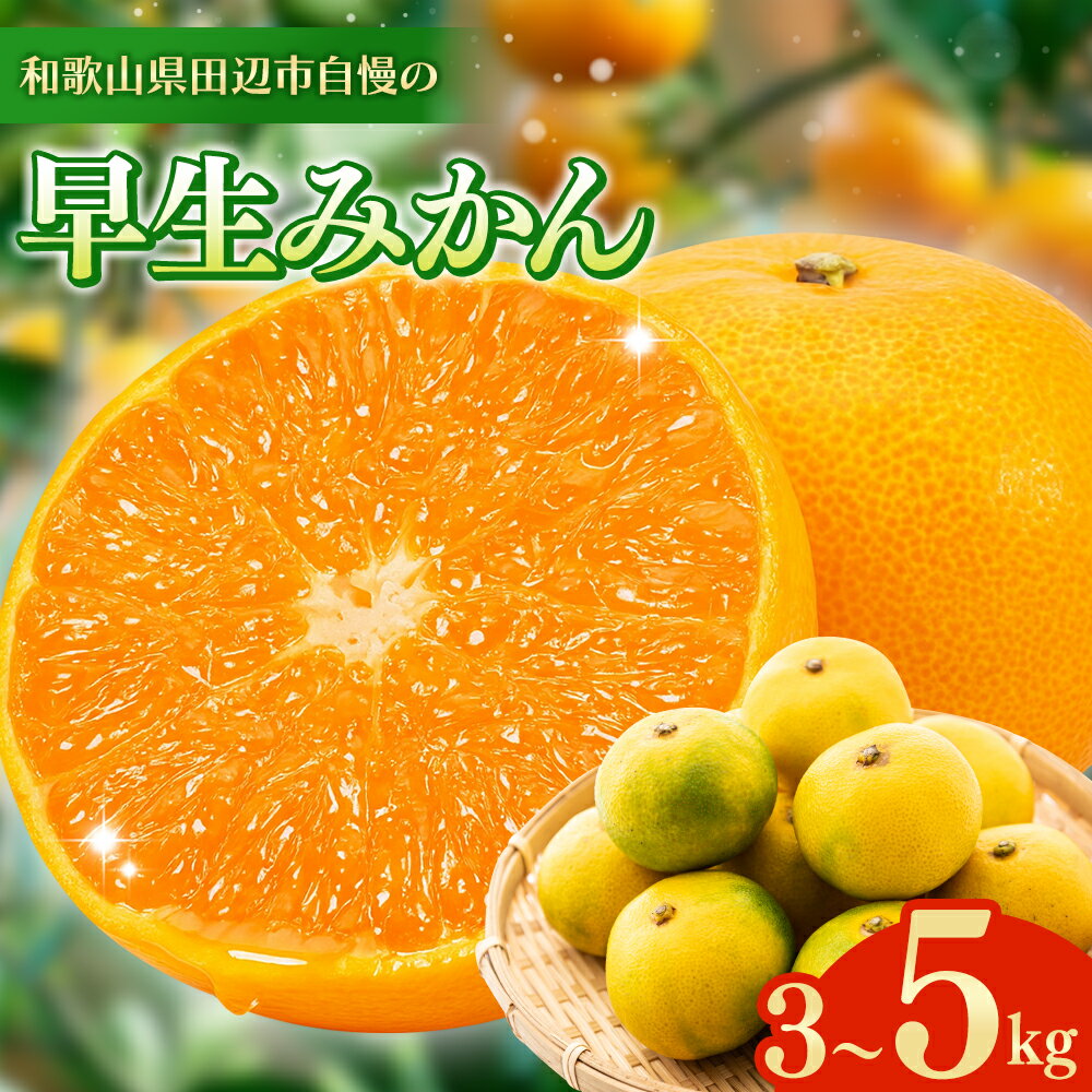 【ふるさと納税】 ＼先行予約／ 早生みかん 【選べる容量】 3kg 5kg （2025年12月以降順次発送予定） / 温州みかん みかん 早生みかん 早生 ミカン 柑橘 フルーツ 果物 紀州産 和歌山県