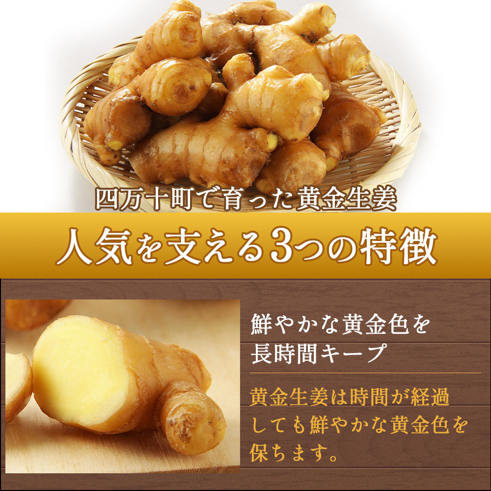 箱に入れて丁寧に梱包作業を行います。