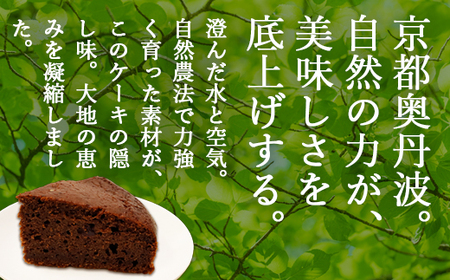 ヴィーガン ガトーショコラ 5号サイズ | チョコレートケーキ