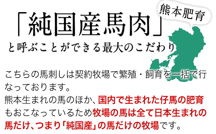 手作りハン馬ーグ 100g×10個 《30日以内に出荷予定(土日祝除く)》 馬肉100%配合！【熊本肥育】ハンバーグ たっぷり 冷凍 お中元 肉 お手軽 お取り寄せ