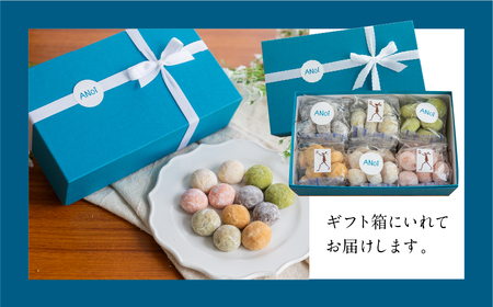 ANoi スノーボール 6種セット 10個×6種 スノーボール（プレーン、ココア、抹茶、イチゴ、きな粉、ほうじ茶）【55-5】