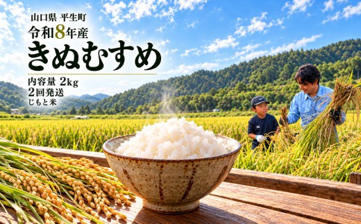 令和8年産 山口県産米 きぬむすめ 2kg 定期配送 2回 ｜令和8年産 きぬむすめ 山口県産米 こめ お米 コメ 白米 米 新米 ごはん 弁当 おにぎり おむすび 朝食 ランチ 主食 精米 地域支援 地元応援 瀬戸内 山口県 平生町 2kg 2回