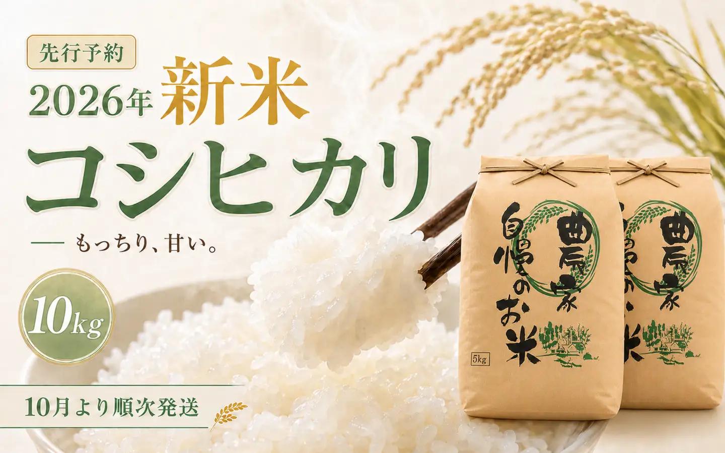限定100件 【新米・先行予約】こしひかり 10kg 信濃町産 令和8年 精米 1等米比率9割超の信州米 2026年10月上旬発送予定 黒姫山麓 長野県信濃町