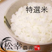 1449　特選米　コシヒカリ　10kg　お米10kg　米10kg　生産販売　自社精米　直送　三重　伊勢　新鮮　コシヒカリ　ギフト