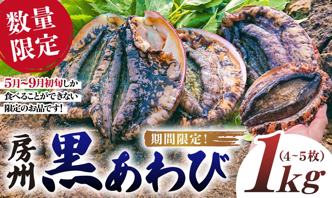 
                  【2026年5月～9月初旬発送予定】【数量限定】房州黒あわび 1kg（4～5枚） mi0020-0010
                