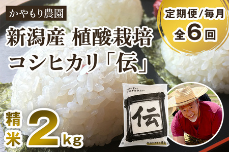 【定期便6ヶ月毎月お届け】新潟産コシヒカリ「伝」白米真空パック 精米2kg 南麻布の高級料亭で提供される極上米 かやもり農園 定期便 定期購入 定期 新潟県産コシヒカリ 米 お米