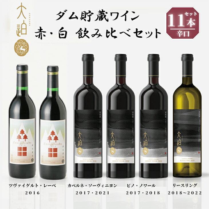【ふるさと納税】 「早池峰の恵み」モリタワイン ダム貯蔵熟成 赤・白ワイン 年代別飲み比べ コンプリート 11本セット【数量限定】 飲み比べ 赤ワイン 白ワイン 花巻市 ダム 岩手県 早池峰 田瀬