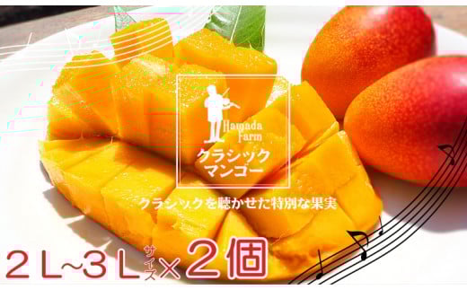 No.1186-4完熟マンゴー（2L～3L×2個）