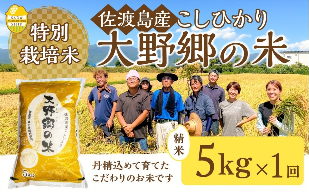 
                  【令和7年産】佐渡島産 特別栽培米コシヒカリ「大野郷の米」精米5kg 朱鷺と暮らす郷づくり認証米 単一原料米 | 新潟県産コシヒカリ 新潟産コシヒカリ 新潟コシヒカリ 佐渡産コシヒカリ 新潟県産こしひかり 佐渡産こしひかり お米 米 こしひかり 白米 精米 ブランド米 おこめ コメ 5キロ にいがた さど 新潟県 佐渡市 新穂大野
                