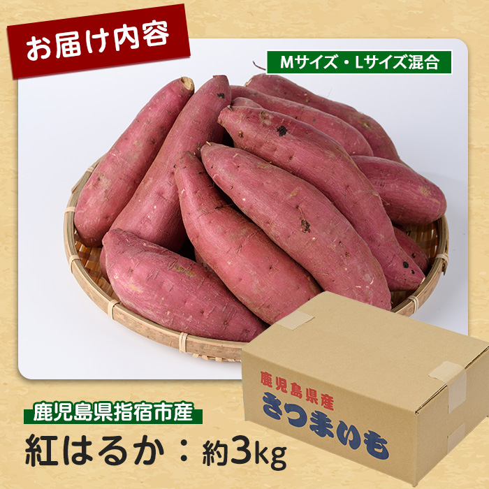 【2026年11月上旬以降～順次発送】らくと農園の紅はるか約3kg(らくと農園/IB084-007) さつまいも おやつ さつま芋 焼芋 やきいも 焼きいも スイーツ