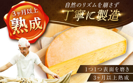 北海道 スパイスラクレット 1/2ホール（2.5kg）《足寄町》【しあわせチーズ工房】チーズ ラクレット ラクレットチーズ 生乳 ミルク 乳製品 チーズフォンデュ 北海道産 道産 あしょろ 北海道[B