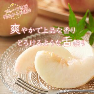 2026年 先行予約 岡山県産  白 桃   エース 3玉×約200g 計600g Lサイズ ｜ 桃