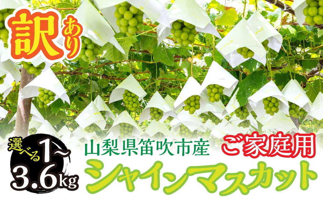 
                  【2026年発送★先行予約】 山梨県笛吹市産　わけありシャインマスカット　選べる！約1kg ～ 約3.6kg　263-007-oya
                