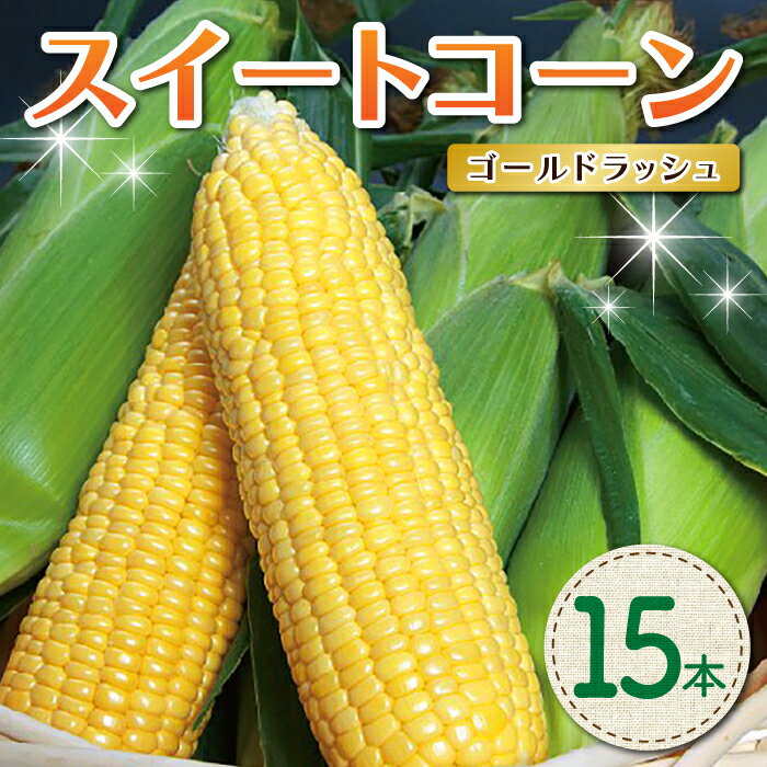 【ふるさと納税】（先行予約2025年発送）長野県東御市産 とうもろこし スイートコーン 15本セット トウモロコシ おいしい 甘い 野菜 国産 冷蔵 お中元 お歳暮 ギフト プレゼント 家庭用 バーベキューに ※2025年7月中旬～2025年9月上旬お届け