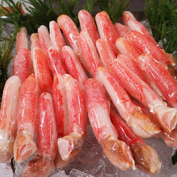 【ふるさと納税】生食用本ズワイガニ爪下棒肉ポーション 選べる 700g 1.3kg かに カニ 蟹 ずわいがに ズワイ蟹 ずわい蟹 北海道 根室市
