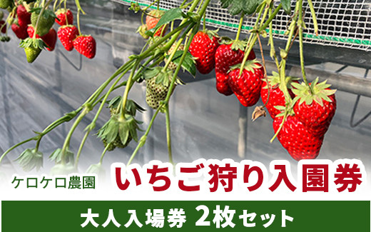 
いちご狩り大人入園券2枚セット◇
※離島への配送不可
