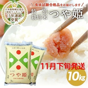 SE0432　11月下旬配送／令和7年産【精米】山形県産 特別栽培米 つや姫　10kg(5kg×2袋) JS　