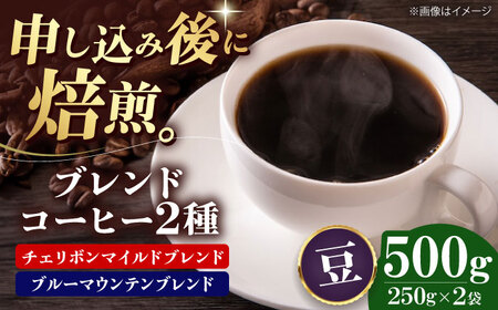 コーヒー豆 ブレンドコーヒー 2種セットC（各250g）珈琲 [AGCU019-2]