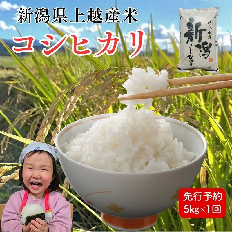 【先行予約】コシヒカリ 新米 米ヴィレッジさんわ コシヒカリ 5kg