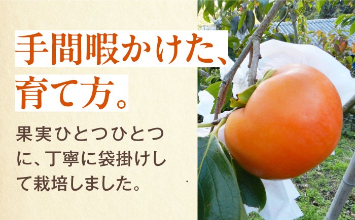 フルーツ 果物 くだもの 食品 人気 内子町