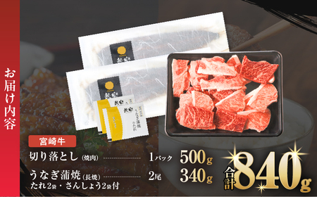 ≪数量限定≫うなぎ×宮崎牛 都農町最強セットC 肉 牛 牛肉 焼肉 国産_T030-073【人気 うなぎ 肉 ギフト うなぎ 肉 食品 うなぎ 肉 おかず うなぎ 肉 お土産 うなぎ 肉 贈り物 うな