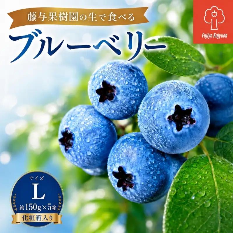ブルーベリー Lサイズ 150g×5 大粒 生ブルーベリー 藤与果樹園 fujiyoB001