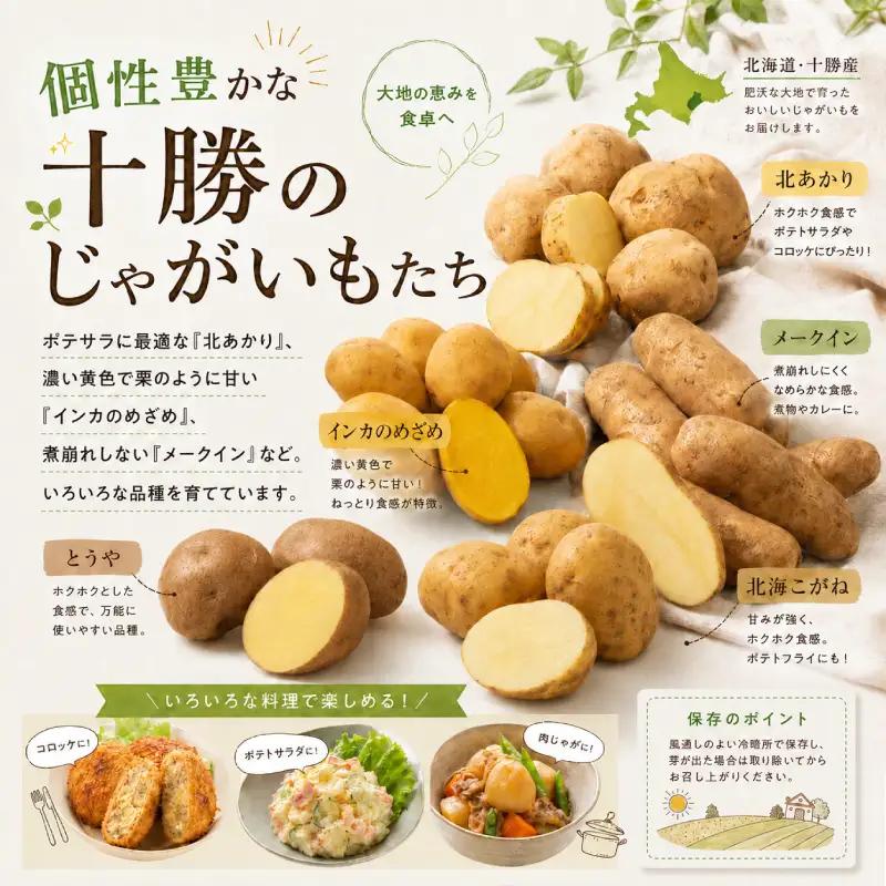 先行予約 じゃがいも2種 メークイン・インカのめざめ各10kg