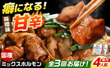 【3回定期便】「元祖みたけとんちゃん」昔ながらのミックスホルモン 2袋（4人前）[AVAA082]モツレバー