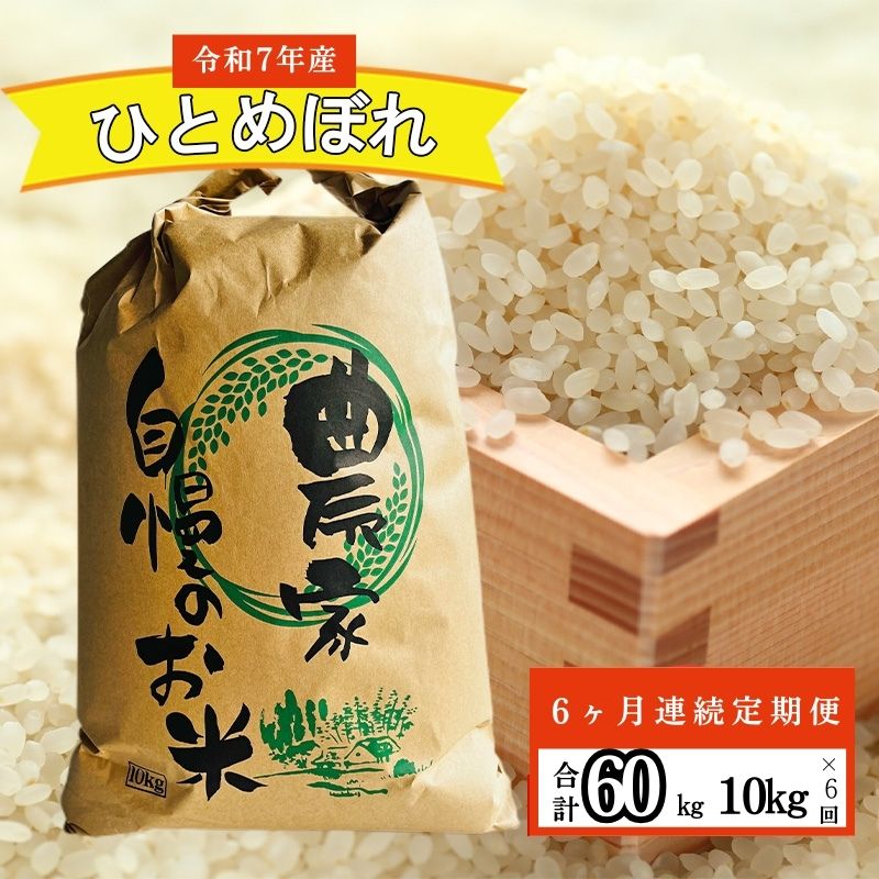 【ふるさと納税】【6ヶ月連続定期便】農家直送！新米 令和7年度産 宮城県亘理町産 ひとめぼれ 10kg お米 ライス 白米 精米 ブランド米 ご飯 炭水化物 　お届け：2025年10月中旬から順次発送