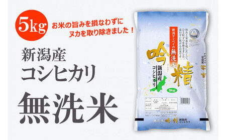 無洗米 吟精 新潟産コシヒカリ５kg 令和6年産 精米