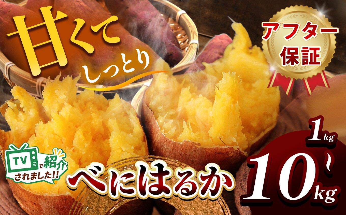 
            甘くておいしい！べにはるか 5kg ~ 10kg 先行予約 ＜ 2025年9月中旬 ～ 12月 の期間より順次発送予定 ＞｜ さつまいも サツマイモ 芋 いも 野菜 紅はるか べにはるか 1kg 5kg 10kg
          
