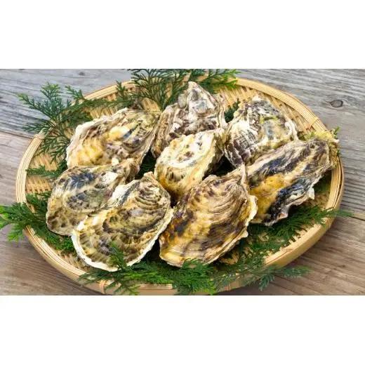 牡蠣 冷凍かき 2.4kg 以上 産地直送 牡蠣 A159