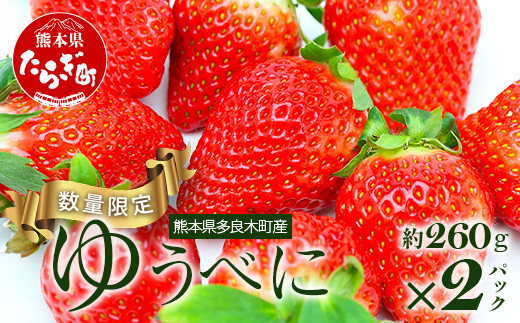 【先行予約】熊本県産 いちご【ゆうべに】約260g×2パック 2025年1月～発送 ≪ 苺 イチゴ  数量限定 坂下農園 イチゴ 2パック 苺 フルーツ 果物 春 名産 熊本 多良木町 ビタミン 旬 先行予約 ≫103-0001