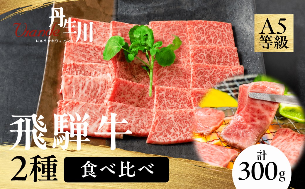 
                  2種食べ比べ！ 飛騨牛 A5等級 肩もも 焼肉 150ｇ 赤身もも 150ｇ | 黒毛和牛 ブランド牛 丹生川精肉 JJ009
                