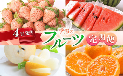 【 定期便 】 熊本人気フルーツ 玉名市産 [ 春夏秋冬 に 合計4回発送 ] | フルーツ 果物 くだもの 人気フルーツ いちご 苺 スイカ すいか 梨 ナシ みかん ミカン 熊本県 玉名市