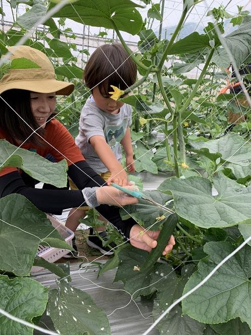 
農家に変身！ 収穫・農業体験　4名様
