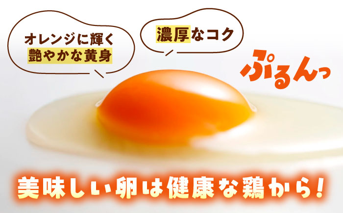 【全6回定期便】天心山 たまご 60個（10個入り×6パック） 卵 たまご 高級 食品 たまごかけご飯 卵かけご飯 卵焼き 生卵 濃厚 ケーキ お菓子 づくり ランキング 上位 人気 おすすめ 定期便