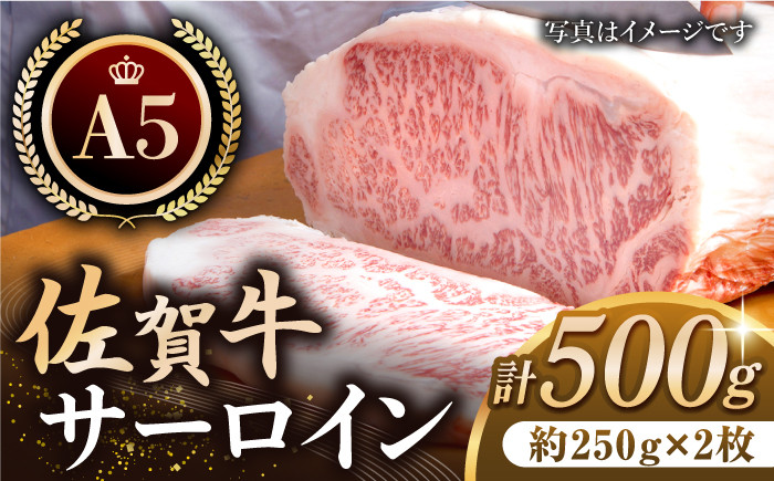 
【最高級 A5ランク】佐賀牛 厚切り サーロイン ステーキ（約250g×2枚）【肉の三栄】 [HAA108]
