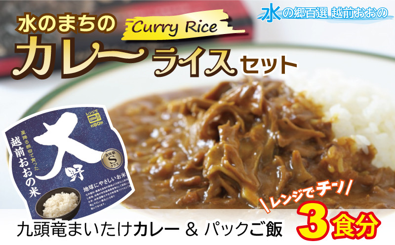 
【先行予約】レンジでチン！水のまちのカレーライスセット【３食分】
